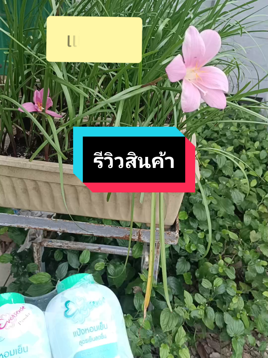 #แป้งเย็น  #แป้งเย็นสําหรับหน้าร้อน #ถูกและดีมีอยู่จริง #ใช้ดีบอกต่อ #ของดีราคาถูก @มาลี  สายมู @มาลี  สายมู @มาลี  สายมู 