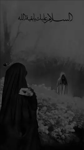الزينبيه #رضا الاراكي #