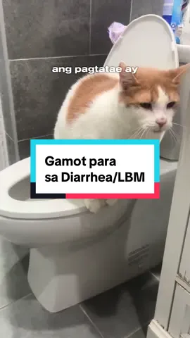 LBM? Loperamide (ex: Diatabs, Immodium, Lomotil) ba dapat agad ang iinumin mo? If symptoms persist, consult your doctor #fyp #fypシ゚ #foryou #pharmacist #pharmtok 