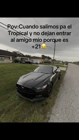 Mal amigo😂🦦#fyp #foryou #cubanosporelmundo🇨🇺 #cubanosencapecoral #everyone @tropicalcubanrestaurant 