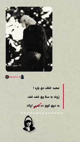 #پشتون_تاجیک_هزاره_ازبک_زنده_باد🇦🇫 #ژوندي_دي_وي_لوي_افغانستان🇦🇫🤟🥀❤️ #افغانستان🇦🇫🇬🇧 #viral #foryou 