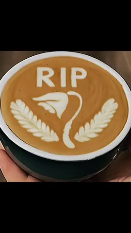 Rakyat VS Polisi DPR minum kopi #CapCut #sad #rip #barista #latte #latteart #trend #demo #kerja #fyppppppppppppppppppppppp 