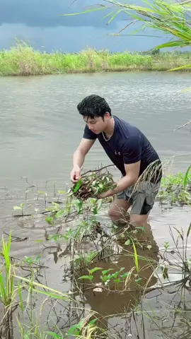 បងកូនអ្នកស្រែតែមានបេះដូងស្មោះ💔🥀🥺#sad #មាននិស្ស័យជួបអស់និស្ស័យបែក💔🥺🥀🥀 #អ្វីៗល្អបានតែដំបូងទេ💔🥺🥀🥀 #អារម្មណ៍សេដ😢🎼🥀 #ស្រុកស្រែ 