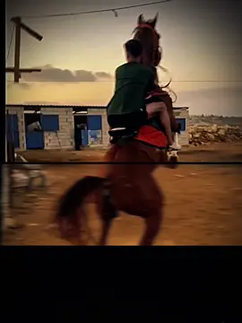 #تلاميذ_الباشا👌 #ال_زين_الدين #خيل_وخياله🐎 #fyp #خيل_عربي @mahmoud.zd2 @🛴skouter🛴 