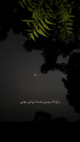 #fyp 