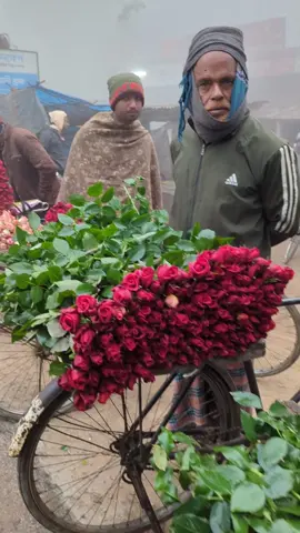 #jashore #godkhali_flower_gerden #treanding 