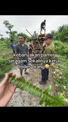 namanya juga anak muda banyak gayanya, kalo suka ngelindes orang brimob namanya hahaha😹 #petanimuda #petanisawit #brimob #affankurniawan #demodpr 