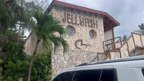 Jellyfish in Punta Cana #beach #vacation #travel #rd #dr