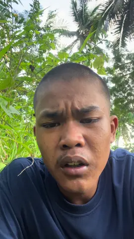 Sarua urang gen
