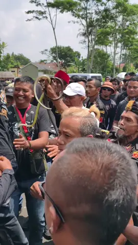 Izin Stitch ya🙏🏻  #demo #indonesia🇮🇩 #dpr #ular #stitch 