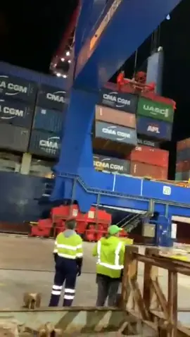 Valencia Port, Spain 🇪🇸 #fyp #accudent #container #crane #trending #damage #spain 