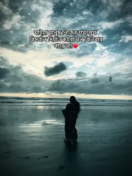মাইয়া মানুষ নিজের শখ-সুখ বিসর্জন দিয়াও কারো মন জিতবার পারে না! 