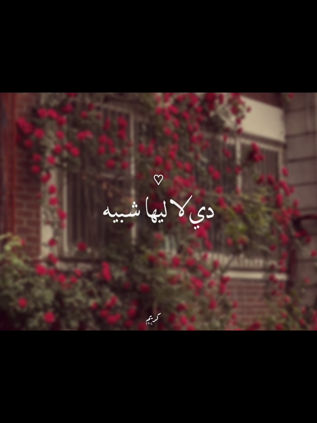 دي لا ليها شبيه ♡ #العسيلي #اغاني #music #viral #fyp 