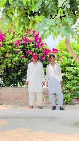 #استادشاکرد #foryou #foryoupage❤️❤️ #viral #video @AZAAN KHOSA @Basam Khan @Shanimunda72 @arslan.chandu.live 