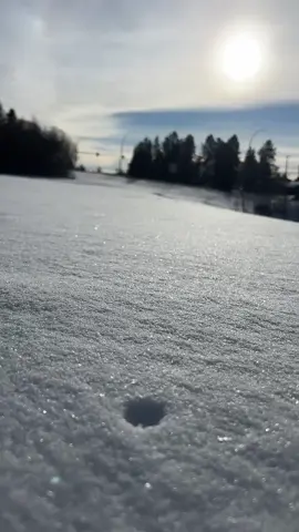 #snow #asmrvideo #satisfying 