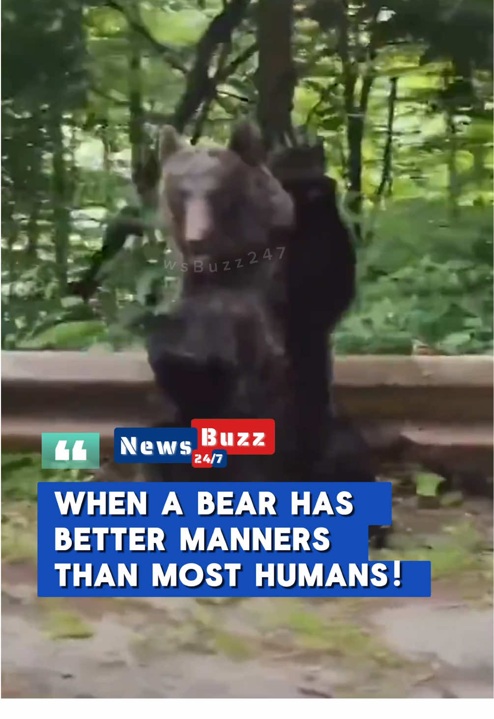 A heartwarming moment unfolded on the scenic Transfăgărășan Highway when a brown bear paused to thank a driver for yielding the road. As the bear crossed, it stood on its hind legs and waved, leaving onlookers in awe. This rare display of gratitude highlights the unique interactions between humans and wildlife in Romania’s Carpathian Mountains. #Romania #NewsBuzz247  #WildlifeWonders #Transfăgărășan #CarpathianMountains   