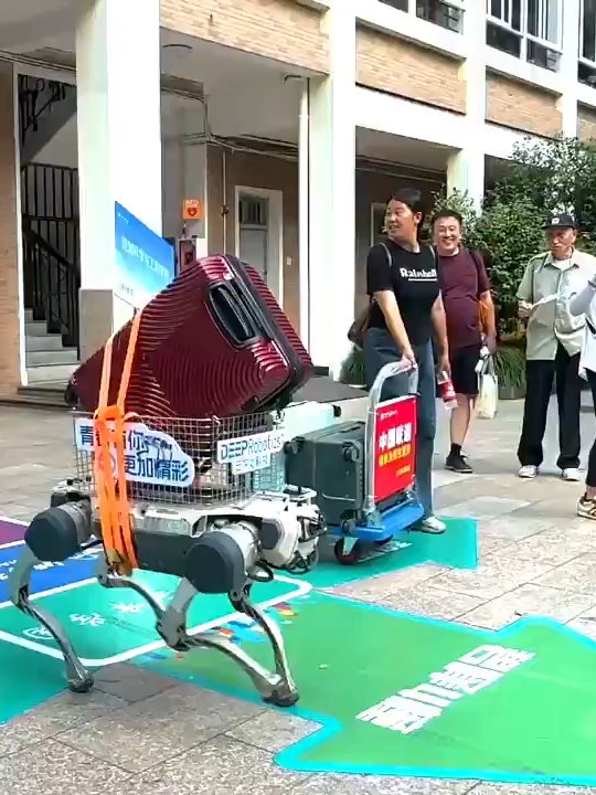 Move-in day at China’s Zhejiang University: Robot dogs are helping freshmen carry luggage. A futuristic welcome to campus life!