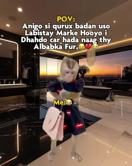 Kuwii ila dhashtayna igu qoslaan 😭💔😂🦦