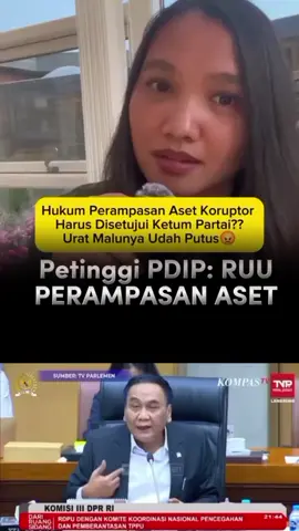 undang2 perampasan aset koruptor harus disetujui ketum partai? #uuperampasanasetkoruptor #dprri #mahfudmd #bambangpacul #salsaer 