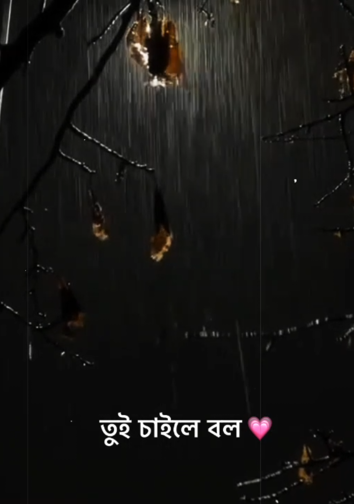- তোর বায়না সব রেখে দেবো সাজিয়ে😌❤️‍🩹 . . . #_shohag_lyrics🎧 #bd_lyrics_society #lyrics_editz_society @TikTok Bangladesh @TikTok @For You House ⍟ 