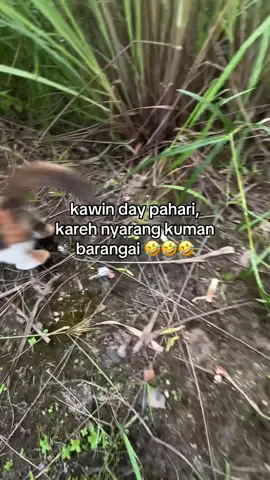 #4u #katakata #4upgetktok #dayakngaju #palangkaraya #pky #4upage #kalimantan 