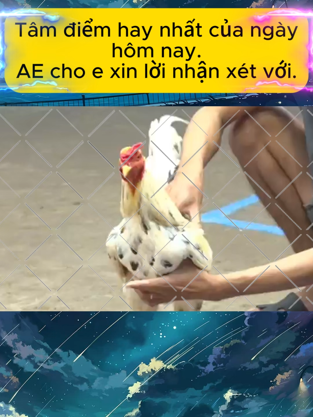 🍊28 cồn 5  #xuhuong #viral #baosting #baostingshop