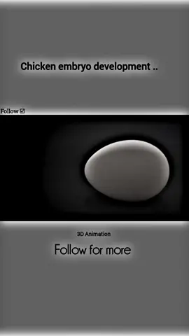 part // 111 // chicken embryo development.. . . #following #viral_video #foryou #💉💉💉💉💉☑️🌡️ #💉💉💉💉💉☑️🌡️ 