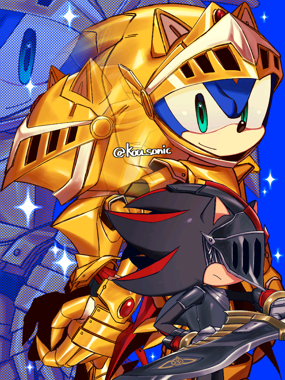 King & Knight . . ⚔️ . . #sonicthehedgehog 