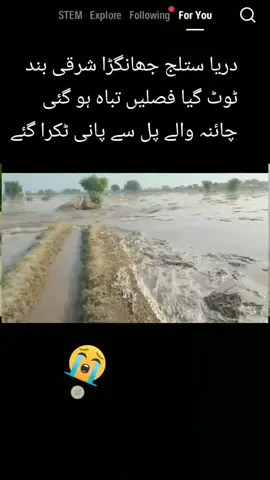 #flypシ #swagstepchallenge #swagstepchallenge #سچاچانڈیہ✌️✨👑 #flypシ 
