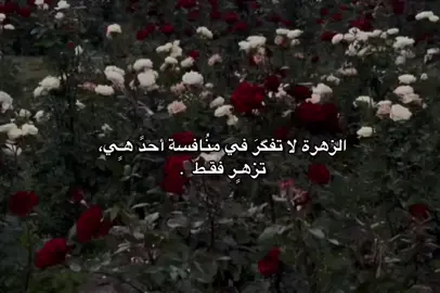 الزهرة لا تفگرَ في منُافسة أحدً هـٍي تزهـٍر فقـط.  #تصميم_فيديوهات🎶🎤🎬  #اللهم_صلي_على_نبينا_محمد  #viral  #fyp  #fypシ゚ 
