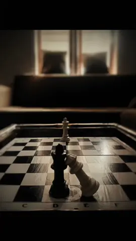 #chess#thewinnertakesitall