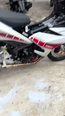 🤙🤙🤙