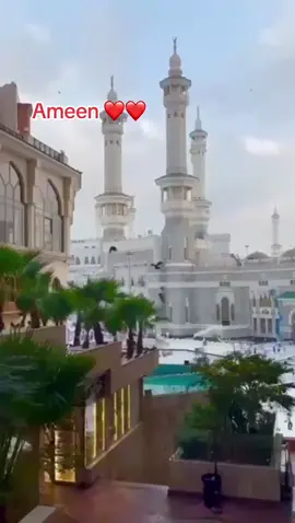 Pray#alhamdulillah #islamic_video #viral_video #tik_tok #forupage 