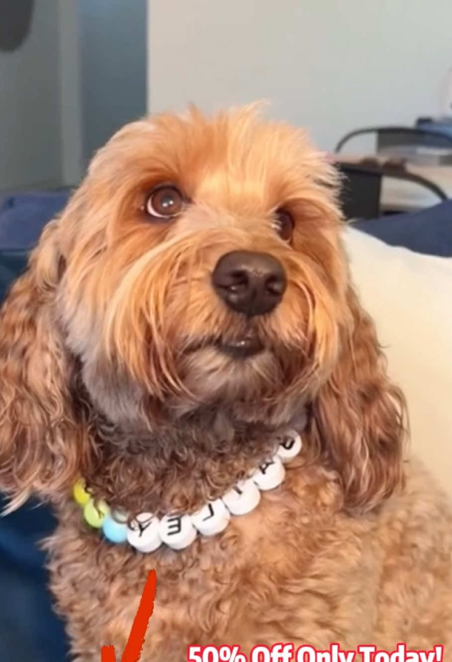 Collar collection#dogmomlife #dogcollar #personalizeddogcollar#pet