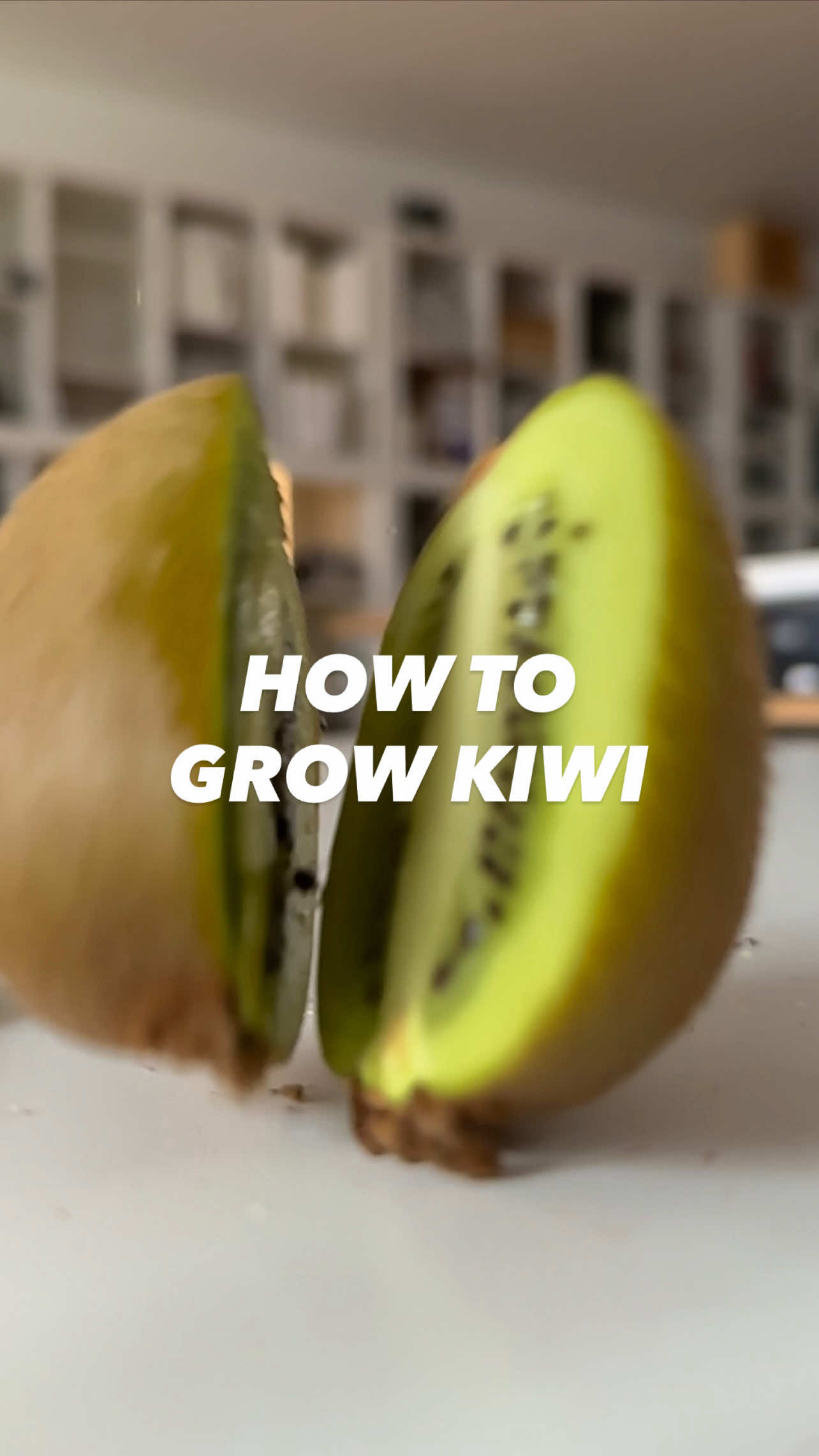 Kiwi Magic! 🥝 #lifehacks #DIY #howto #kiwi 
