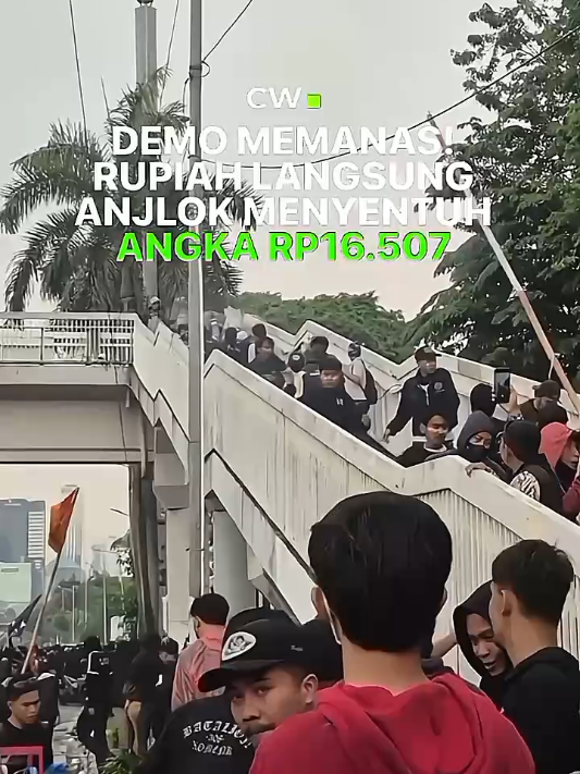 Rupiah hari ini anjlok hingga menyentuh angka Rp 16.570🇮🇩 #demodpr #gabrielrey #cryptowave #foryou #fyp @cryptowaveid 