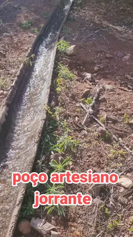 poço artesiano jorrante 