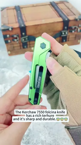 My dream knife#tiktok #knife #kitchenknife #KnifeGear #fyp 