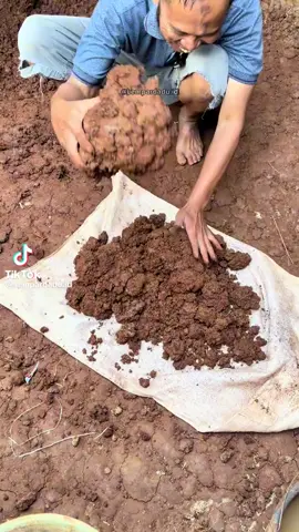 Makanan warga negara maju negara anggota Brics & G20 Namanya ampo yang diperbuat dari tanah liat. Tanah nya di ambil berdekatan dengan makam diraja. Gilak, NGOMONG ELIT, HIDUP SULIT ANJRR! @Bennix | Investor @Jhoni Joo @ARYA DWIPANGGA @PEMUDA TEMPATAN @roslancomot #KONOHA👇 #IQ78 #SDMRENDAH #GOBLOCK 