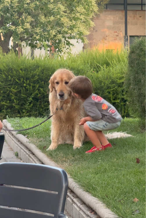 Best friends 🥰🥰#dog #pet #baby #Love #cute #bestfriend #cutebaby #dogsoftiktok #foryou #usa🇺🇸 