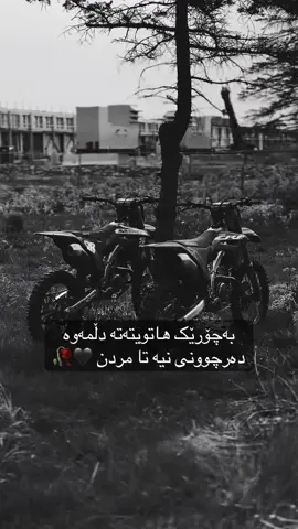 تامردن😅🖤🥀#بێتام😔✌🏻 #گەرەگیان😔✌🏻 