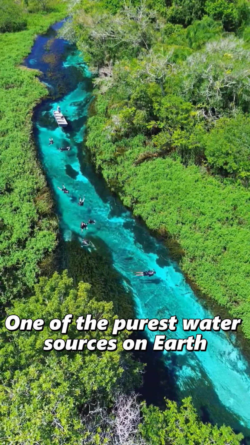 One of the purest water sources on'Earth#fyp 