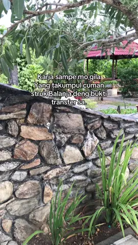 Sapa tu😂 #ambontiktok #fyp #kidstersenyum #fypシ゚viral #ambonstory 