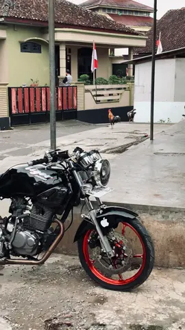 #tigergank 