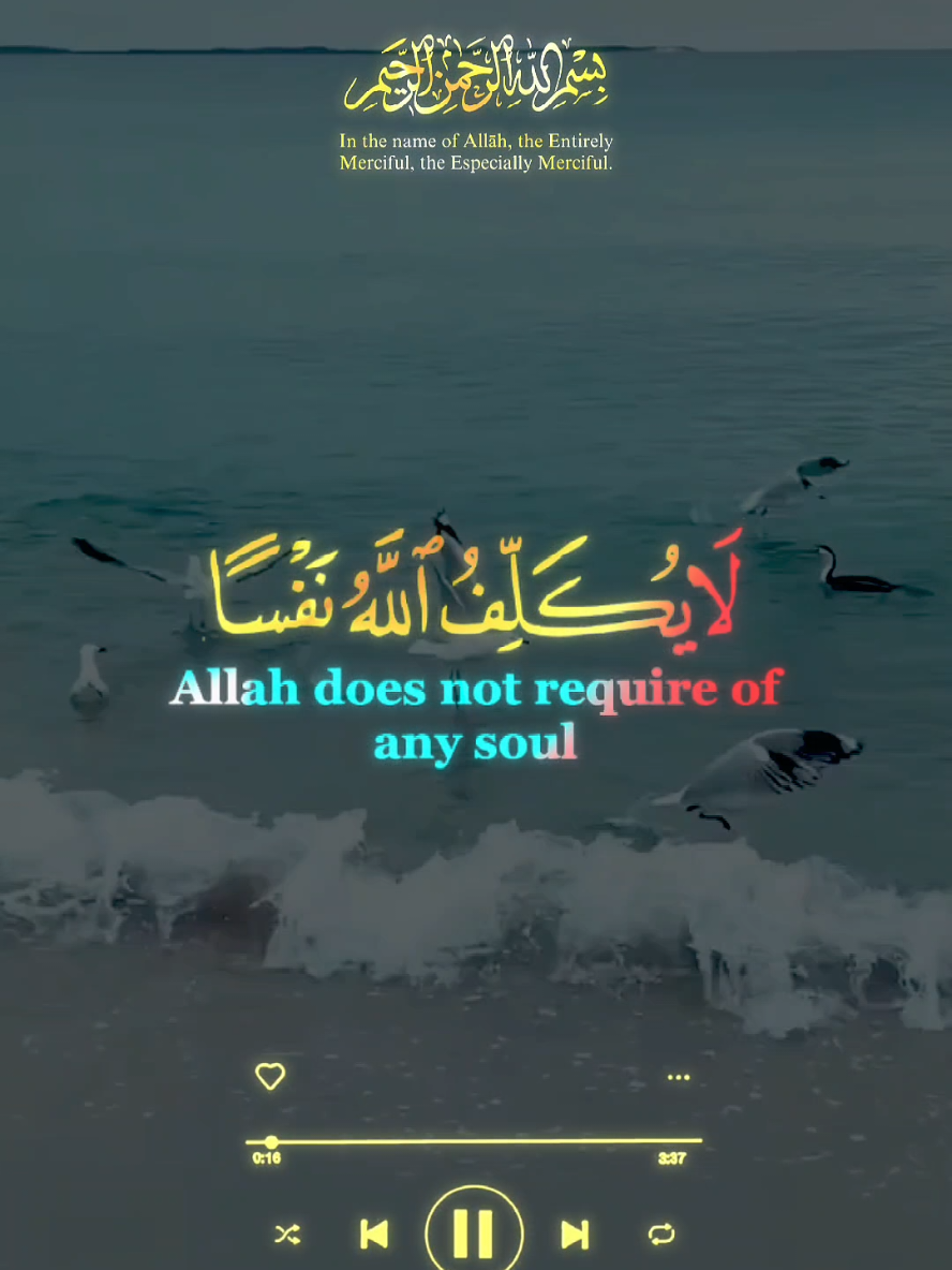 تلاوة خاشعة من سورة البقرة بصوت القارئ سعد الغامدي 🌿 تملأ القلوب سكينة وطمأنينة بآيات الله العظيمة. Surah Al-Baqarah recitation by Saad Al-Ghamidi 🌿 A heart-soothing reminder filled with peace and guidance from the words of Allah. #القرآن_الكريم #سورة_البقرة #سعد_الغامدي #تلاوة #يكسبلور  