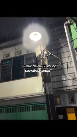 awamu koncoku kann??