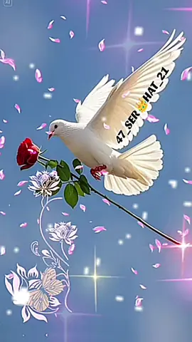 BİR ALLAH'IM BİR BEN BİLİRİM #DAMAR #siir #ti̇ktok_turkey KESFETTİKTOK 🥀😔😭👈🏻 #KEŞFET #CapCut 