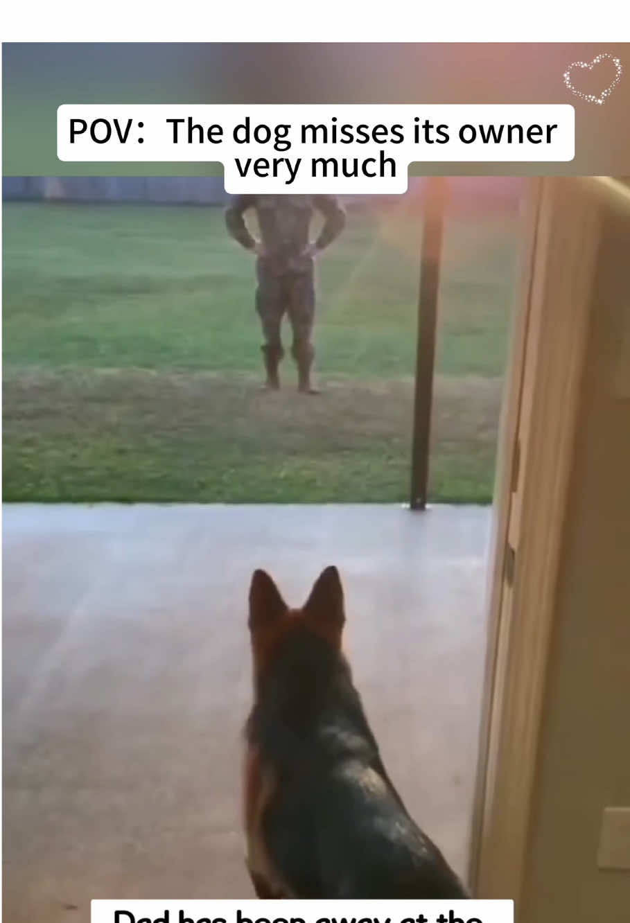 Dog and soldier 🥹#dog #fyp #reunion #soldier #pet #foryou #owner 