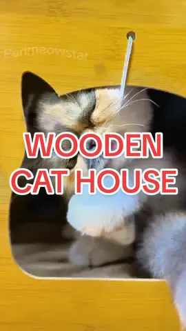 Give your cat the ultimate villa of comfort and play with this 2-in-1 Wooden Cat House & Scratcher. #cat #catlover #cathouse #catvilla #catscratcher 