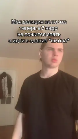 #vhamster #шк #рекомендации 